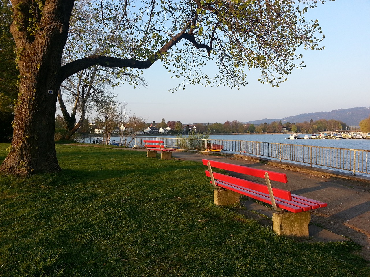 乔科维奇复赛遇阿尔卡拉斯 阿丽娜向澳网三连冠迈进.