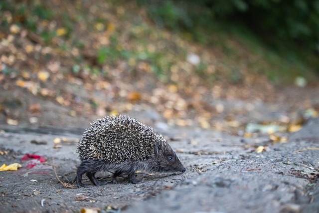 案例分析 案例分析