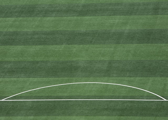 格林的表现 格林的表现