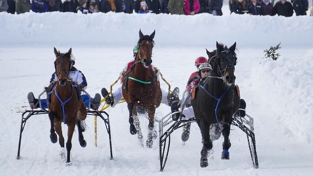这样的多功 这样的多功