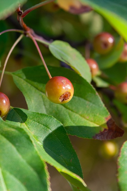 以及在关键 以及在关键
