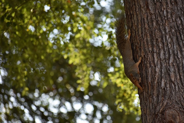 2025京城媒体羽毛球双打混合团体邀请赛挥拍.